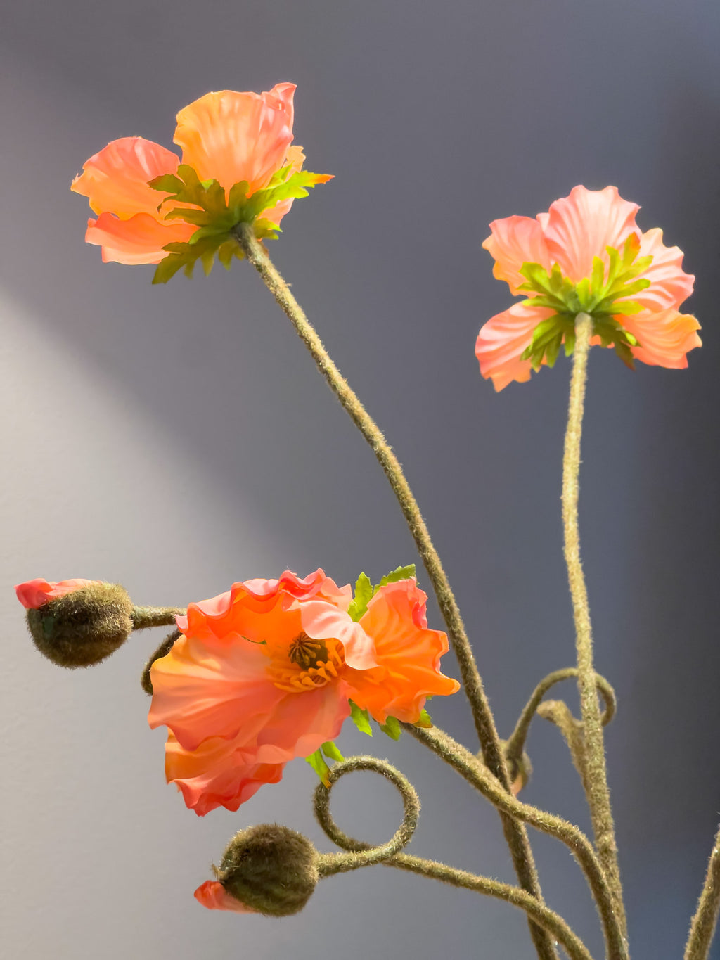 Zijden klaprozen boeket - 5 stuks - Pluk! Zijden Bloemen