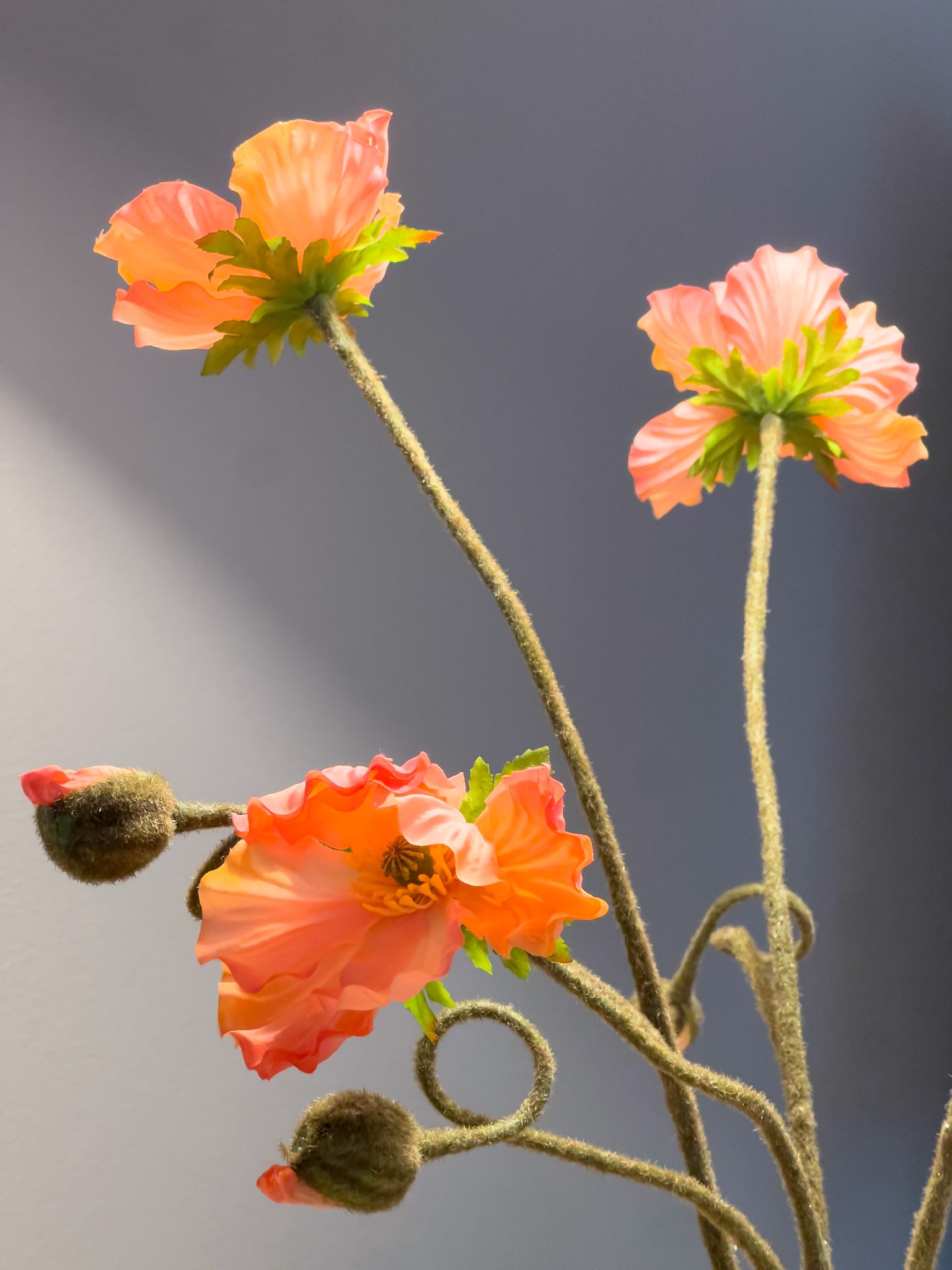 Zijden klaprozen boeket - 5 stuks - Pluk! Zijden Bloemen