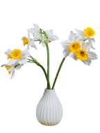 ✨Openingsspecial✨ Zijden narcissen bundel - Pluk! Zijden Bloemen