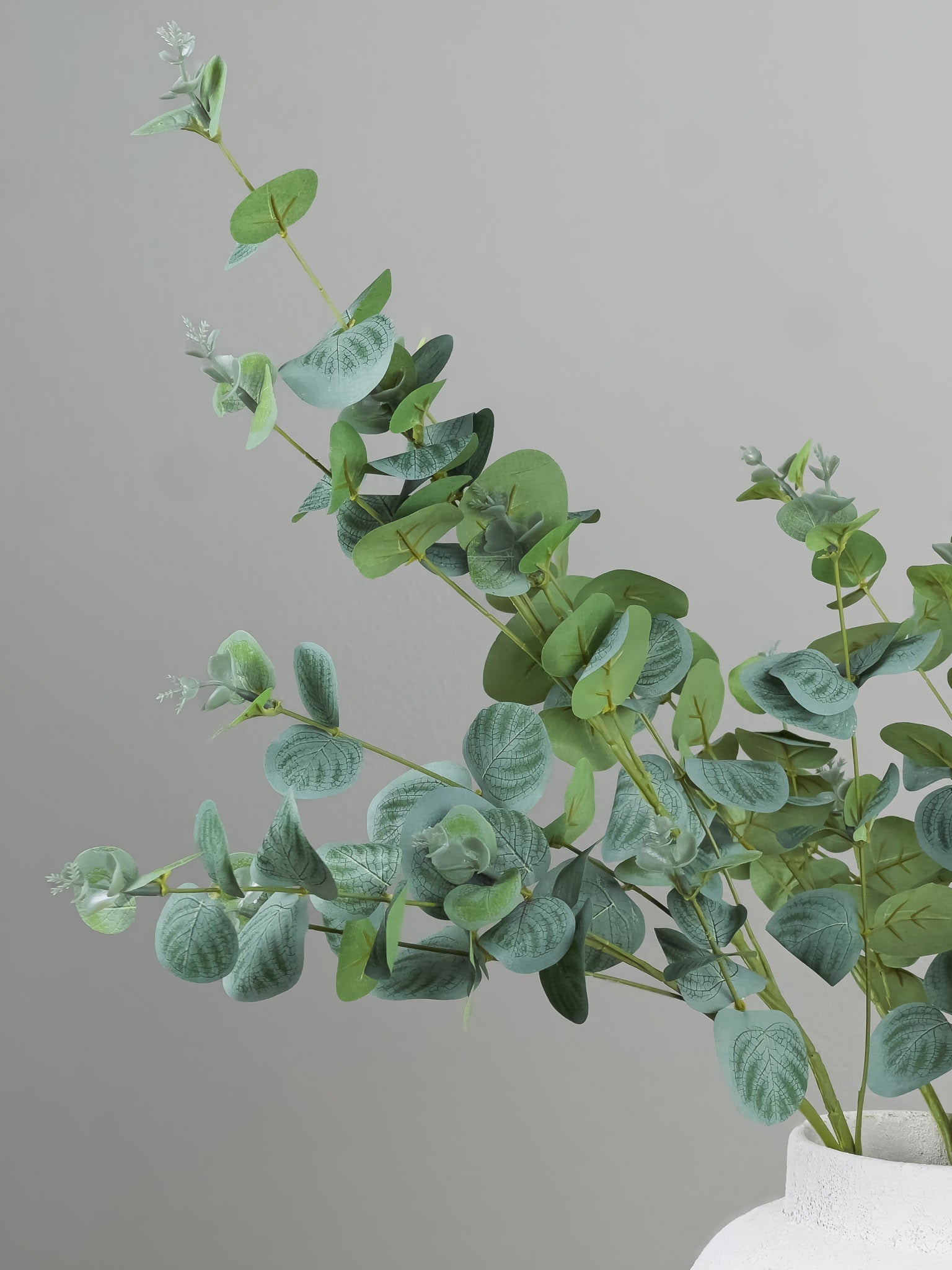 Zijden Eucalyptus tak (75cm) - 3 stuks luxe kunstbloemen - Pluk! Zijden Bloemen