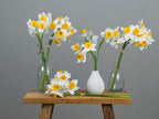 ✨Openingsspecial✨ Zijden narcissen bundel - Pluk! Zijden Bloemen