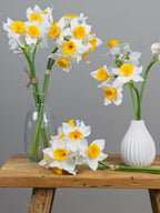 ✨Openingsspecial✨ Zijden narcissen bundel - Pluk! Zijden Bloemen