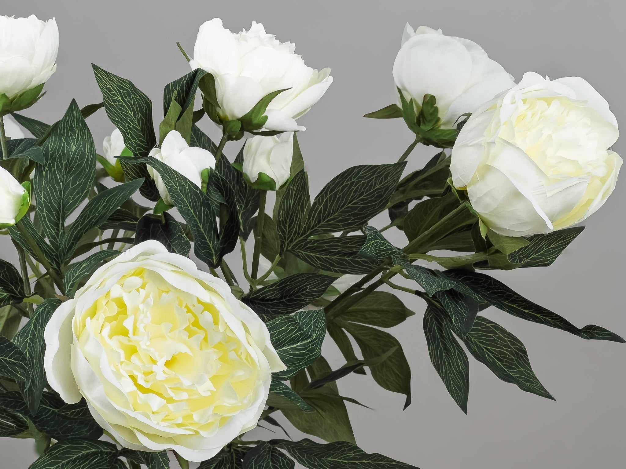 Detailfoto van de natuurgetrouwe textuur van een witte pioenroos - Pluk! Zijden Bloemen