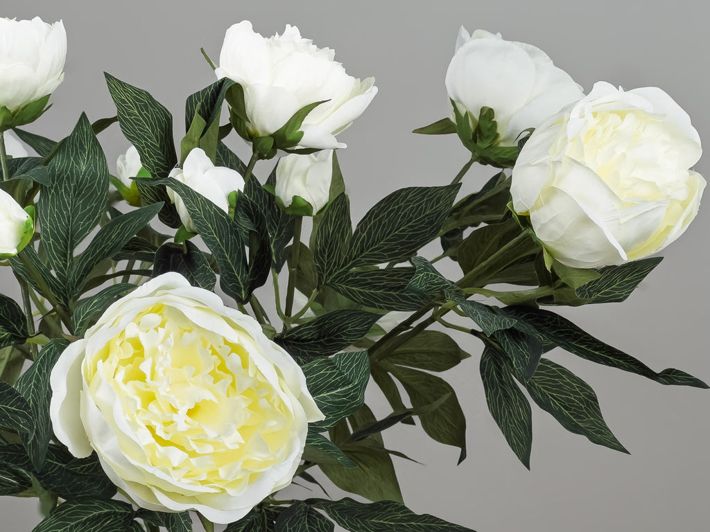 Detailfoto van de natuurgetrouwe textuur van een witte pioenroos - Pluk! Zijden Bloemen