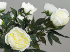 Detailfoto van de natuurgetrouwe textuur van een witte pioenroos - Pluk! Zijden Bloemen