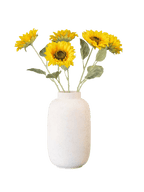 productfoto van 5 zonnebloemen in vaas