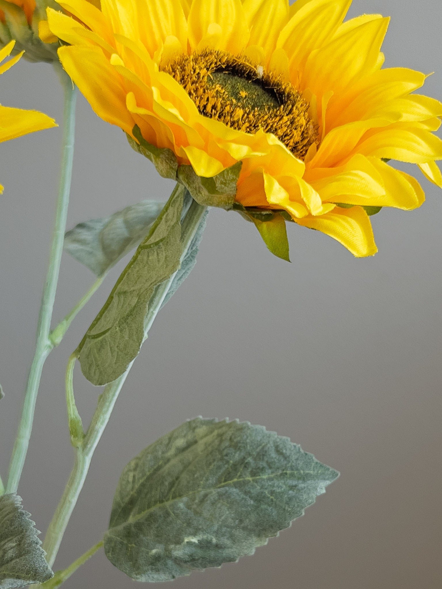 ingezoomde zijden zonnebloem